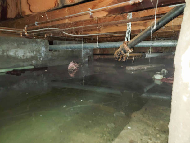 Best 24-hour water damage restoration  in Dallas, GA