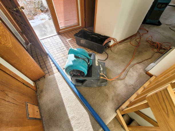 Best Flood restoration services  in Dallas, GA