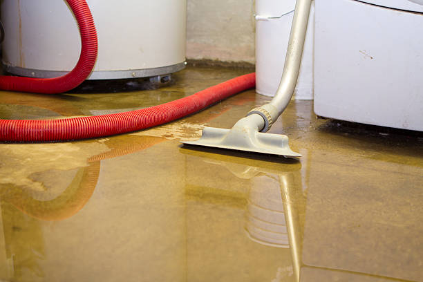 Best Water damage restoration company  in Dallas, GA